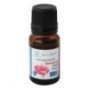 Organic Geranium essential oil