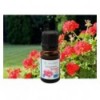 Organic Geranium essential oil