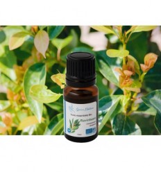 Organic Ravintsara essential oil