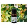 Organic Ravintsara essential oil