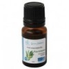 Organic Ravintsara essential oil