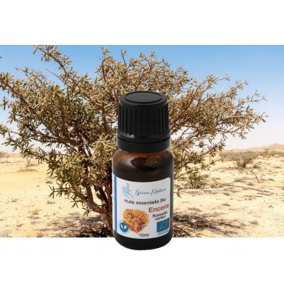 Huile essentielle Bio Encens (ou oliban)