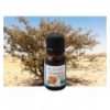 Huile essentielle Bio Encens (ou oliban)