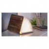 Lampe-livre