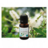 Tea tree bio