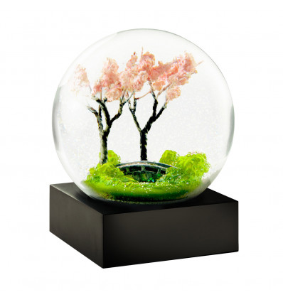 La floraison du printemps...