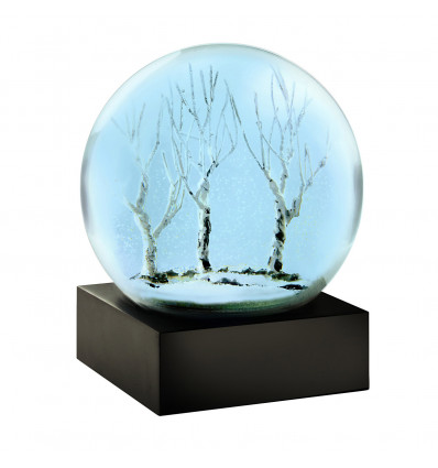 Boule à neige - Un soir d'hiver...
