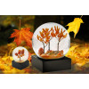 Feuillage d'automne...