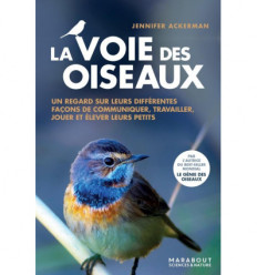 La voie des oiseaux