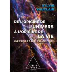 DE L ORIGINE DE L UNIVERS A L ORIGINE DE LA VIE