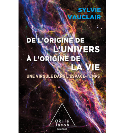 DE L ORIGINE DE L UNIVERS A L ORIGINE DE LA VIE