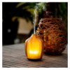 Diffuseur d'huiles essentielles Fern Amber