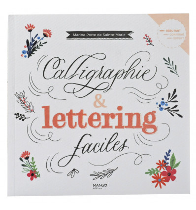 Calligraphie & lettering faciles