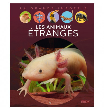 Les animaux étranges