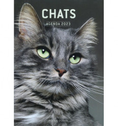 Agenda Chats 2023