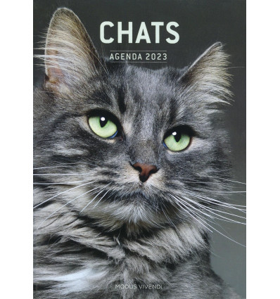 Agenda Chats 2023