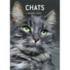 Agenda Chats 2023