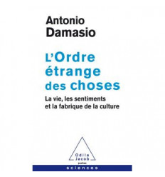 L'ordre étrange des choses