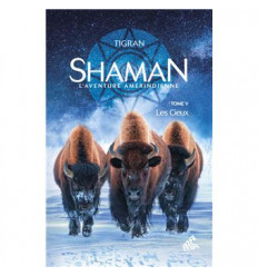 Shaman - Les Cieux - Tome 5