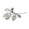 Rose of light