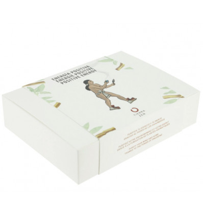 Positive Energy set – White Sage and Palo Santo