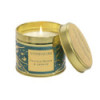 Papyrus and Jasmin Candle