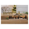 Nativity scene