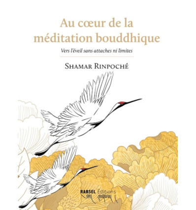 AU COEUR DE LA MEDITATION BOUDDHIQUE