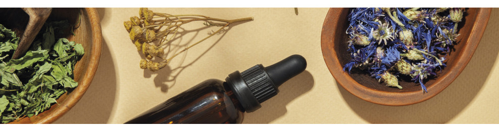 Le monde des senteurs